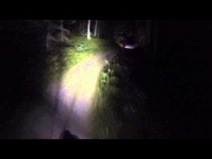 Nattorientering1